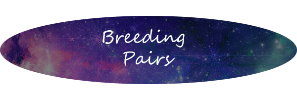 breeding-pairs-banner_orig.png